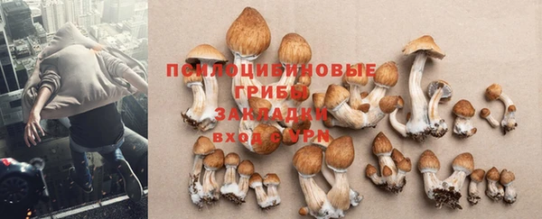метамфетамин Сатка